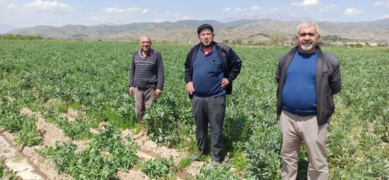 Üreticiler pazar yasaklarına esneklik istiyor
