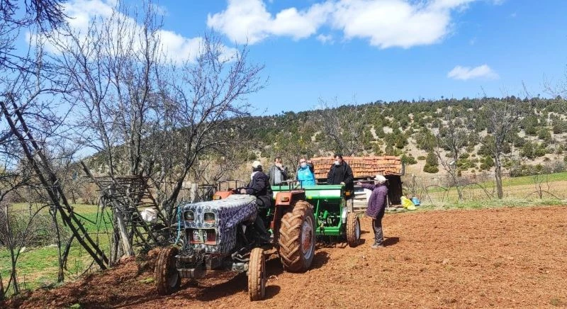 Hisarcık’ta çörekotu ekimi yapıldı
