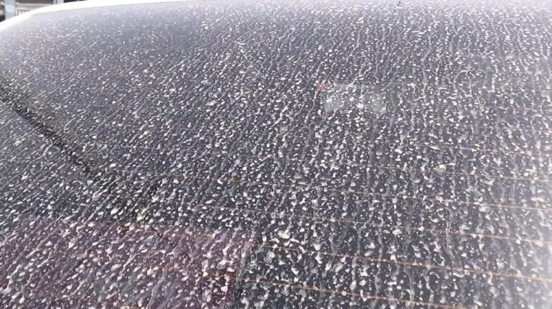 Meteoroloji toz uyarısında bulunmuştu, gökyüzünden çamur yağdı
