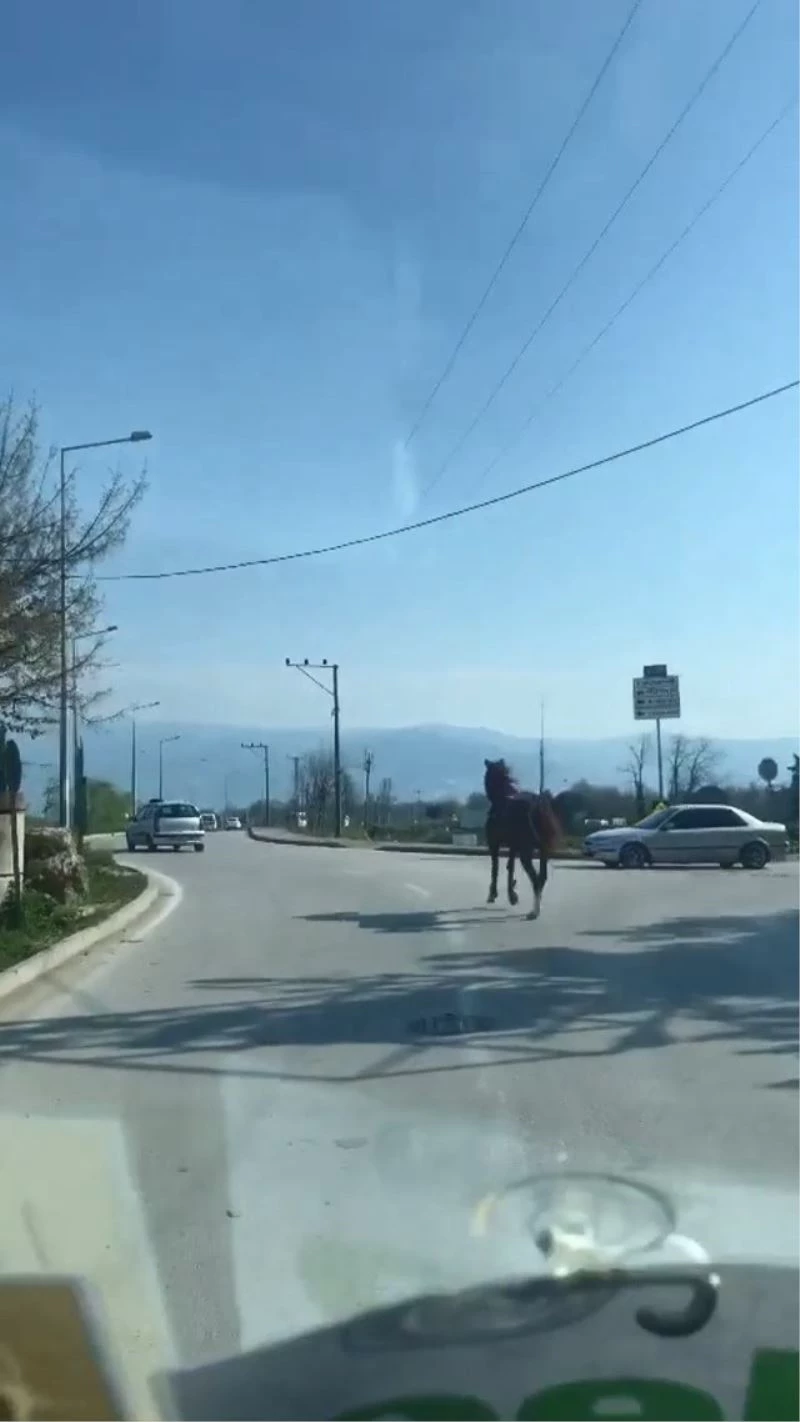Bursa trafiğinde dört nala koştu
