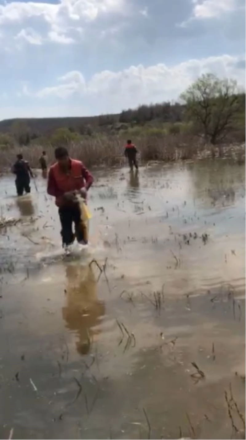 Terkos Gölü’nde yasa dışı balık avına 14 bin lira ceza
