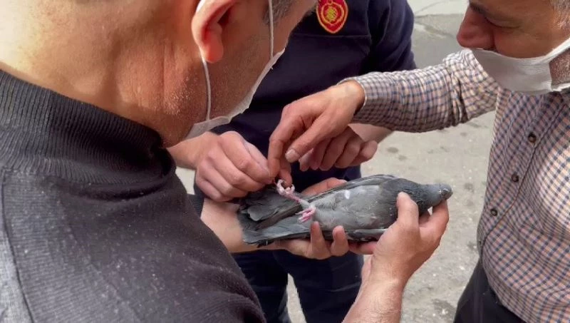 Klima motorunda mahsur kalan güvercin kurtarıldı
