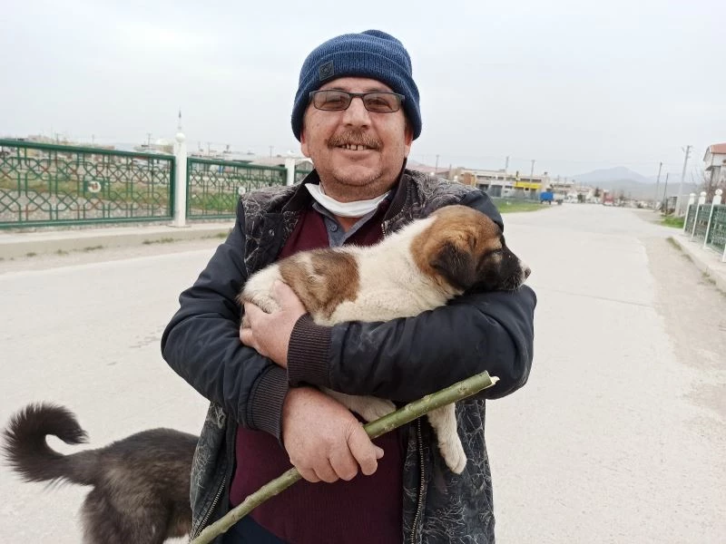 Ekmek almaya giderken sesini duyduğu köpeği düştüğü yerden kurtardı
