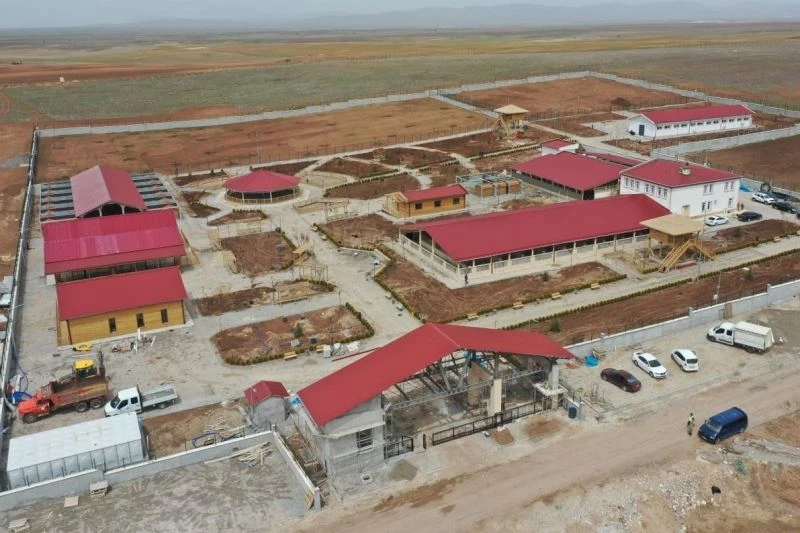 Kangallar için yapılan dev tesis Haziran ayında açılıyor
