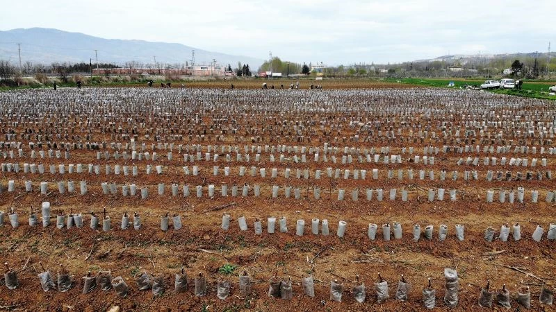 Binlercesine poşet geçirildi, havadan böyle görüntülendiler
