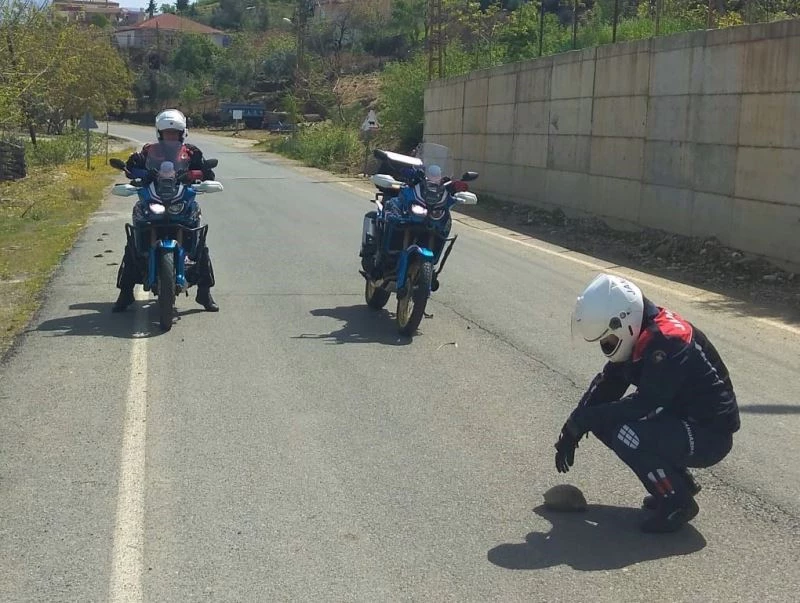 Yol ortasındaki kaplumbağaya jandarmadan yardım eli
