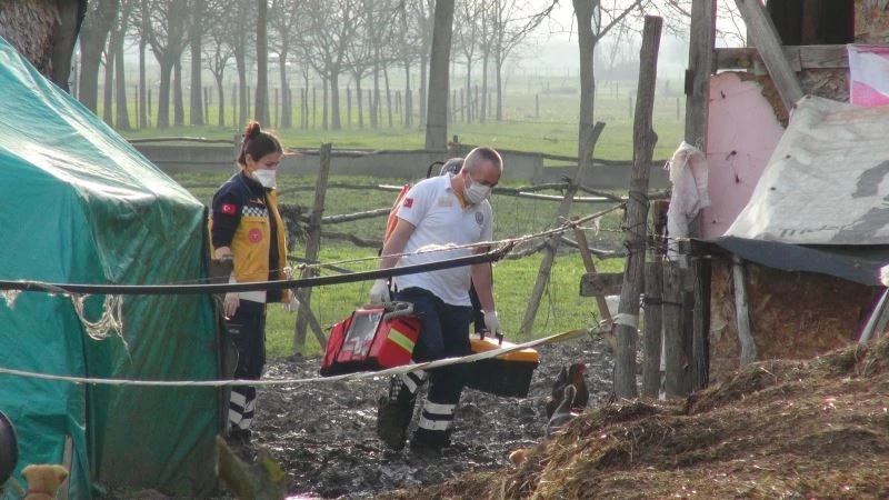 Hayvan bakmaya gidiyorum dediği ahırda kardeşi cesedini buldu

