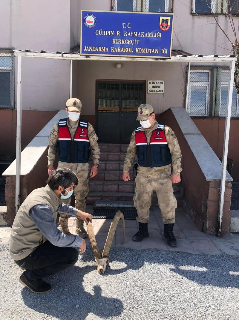 Başkan Tanış’tan ‘dağ keçilerini koruyalım’ çağrısı
