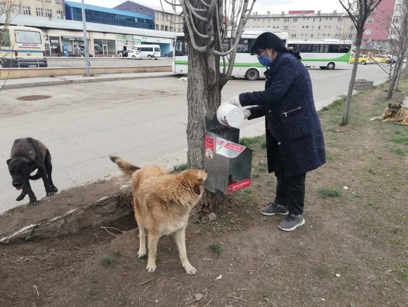 Vali Belediye Başkanı Öksüz, “Can Dostlarımıza hep birlikte sahip çıkalım”
