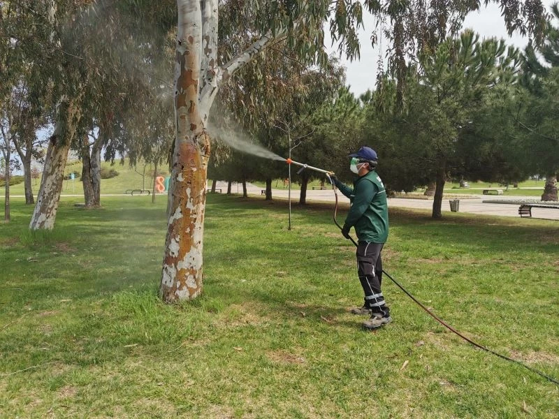 Samsun’da vektör ile mücadele
