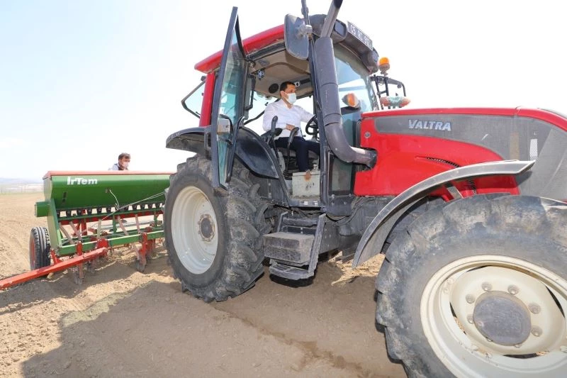 Amasya’da yerli ve milli kenevir ‘Vezir’in ekimi yapıldı

