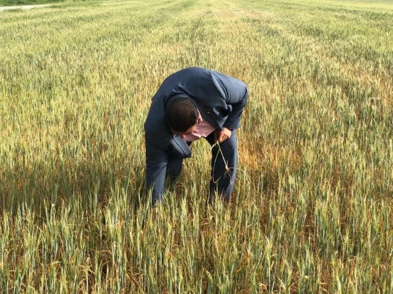 Mardin’de çiftçilerin kuraklık çığlığı
