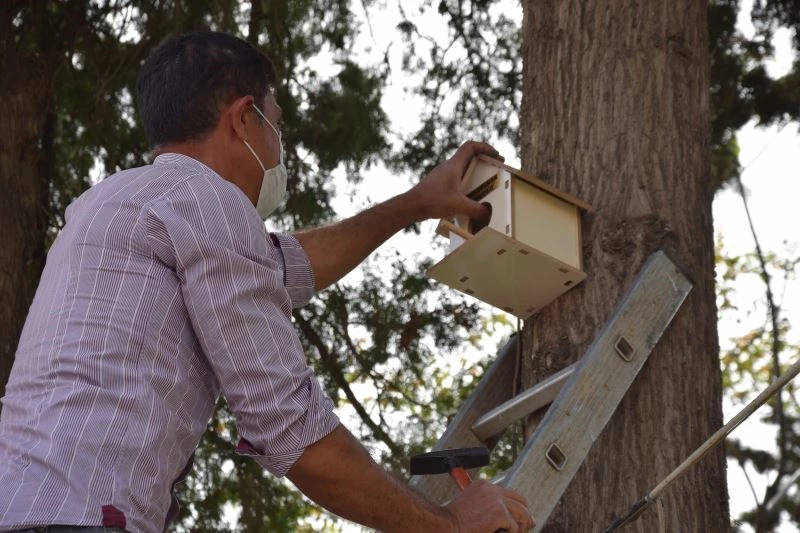 Viranşehir’de parkalara kuş yuvası yerleştirildi
