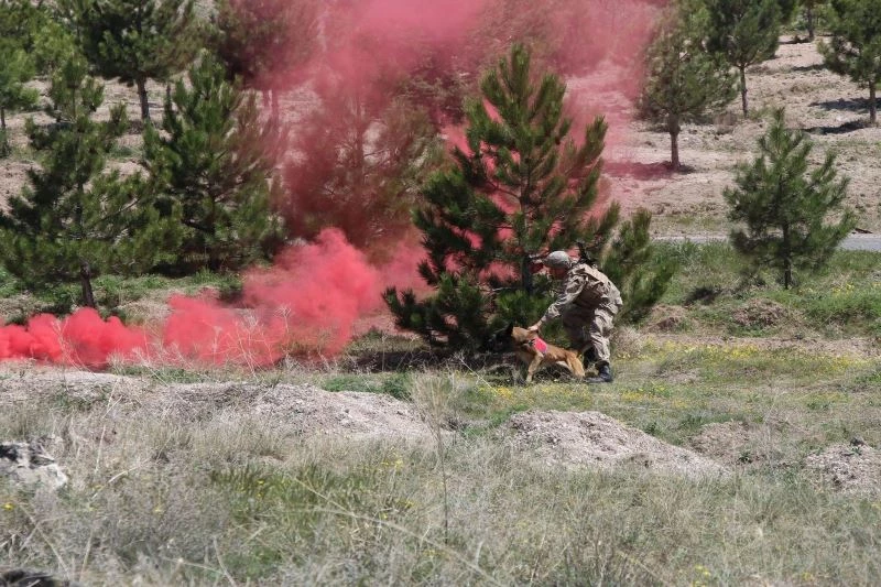 Hassas burunlar teröre göz açtırmıyor
