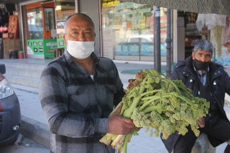 “Yayla Muzu” tezgâhlardaki yerini aldı
