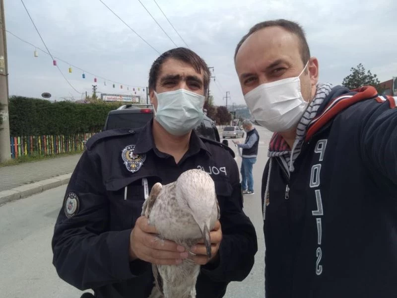 Ayağına maske ipi dolaşan martının imdadına polis ekipleri koştu

