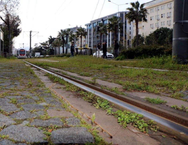 Tırtılların kelebeğe dönüşme yolculuğu raylardan geçiyor
