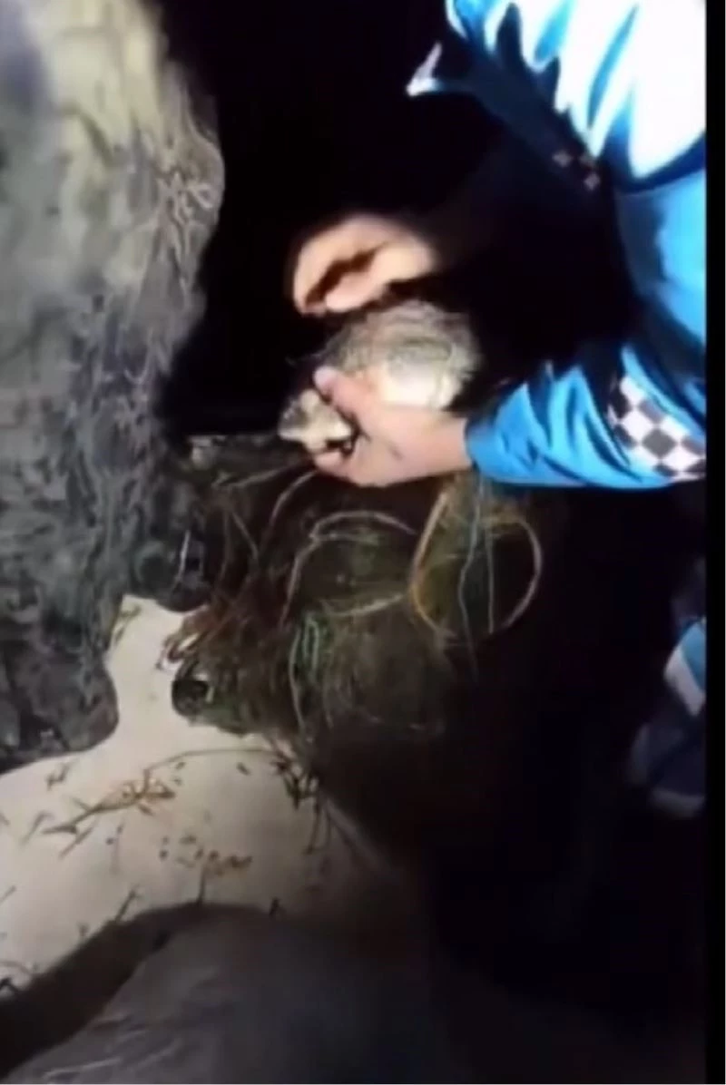 Eğirdir Gölü’nde metrelerce sahipsiz ağ ve kaçak avlanılan canlı balık ele geçirildi
