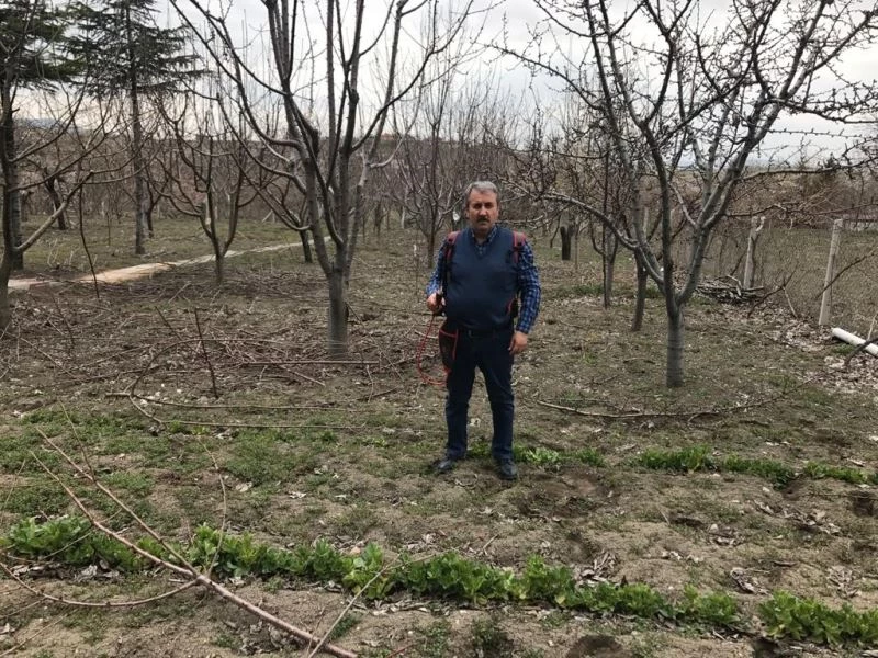 BBP Genel Başkanı Destici ağaç budadı
