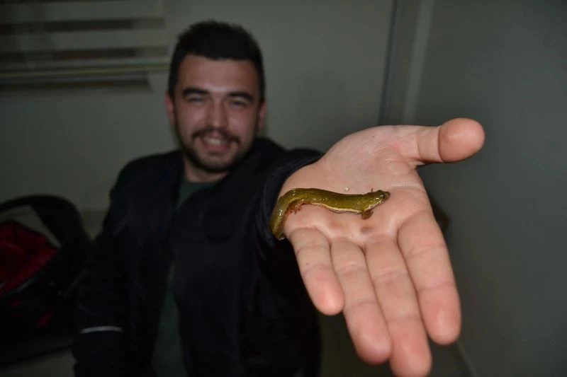 Köylünün ilk önce balık sandığı canlı bakın ne çıktı
