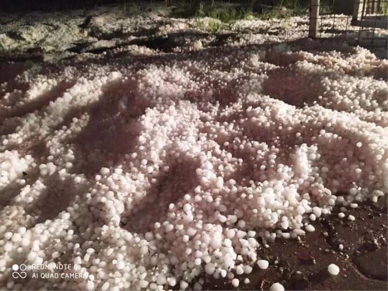 Dolu üzüm bağlarını vurdu
