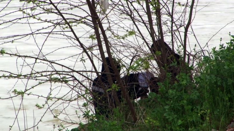 Sakarya Köprüsü altında yürek sızlatan görüntüler
