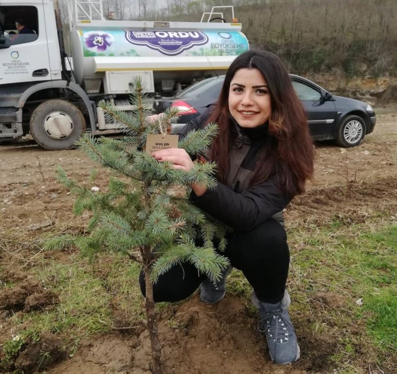 Dolunay mesire alanı, benzersiz bir yapıya sahip olacak
