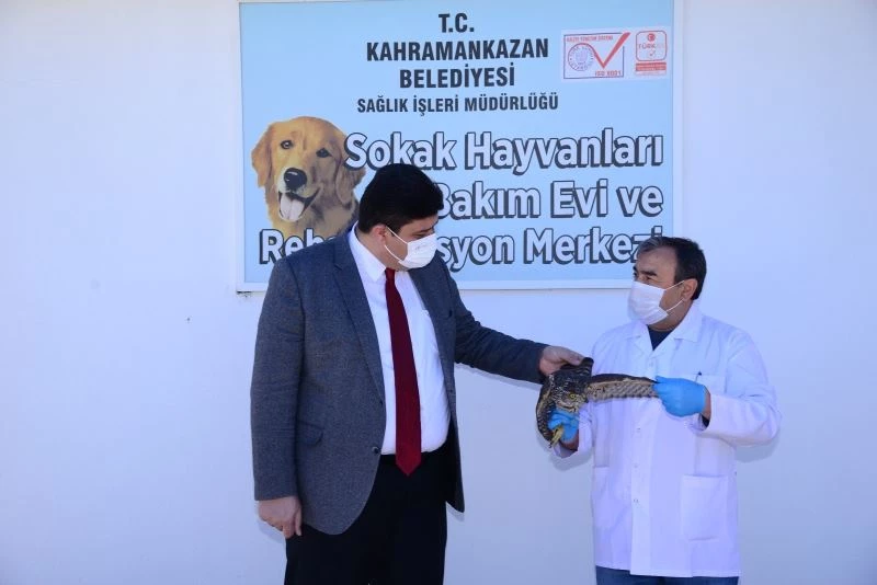 Atmacayı kanadından vurdular
