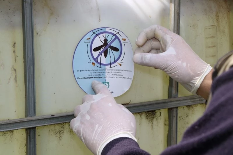 Büyükşehirden sivrisinekle mücadele
