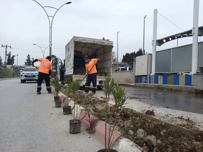 Refüjlere bodur bitki dikiliyor
