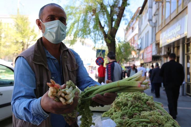 Tunceli’de ’Yayla Muzu’ tezgahlardaki yerini aldı
