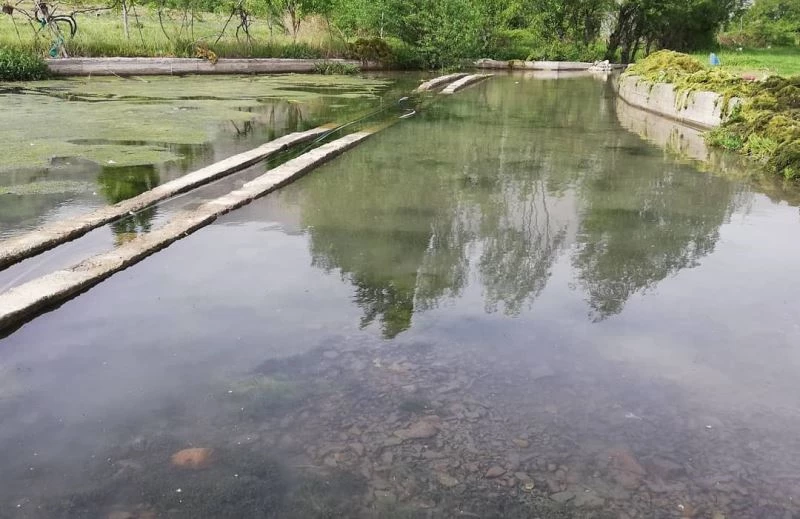 Şenoba Belediyesi tarafından akarsu ve kaynak sularda çöp temizliği
