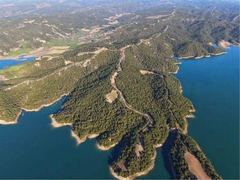 Karaisalı ormanları havadan izleniyor

