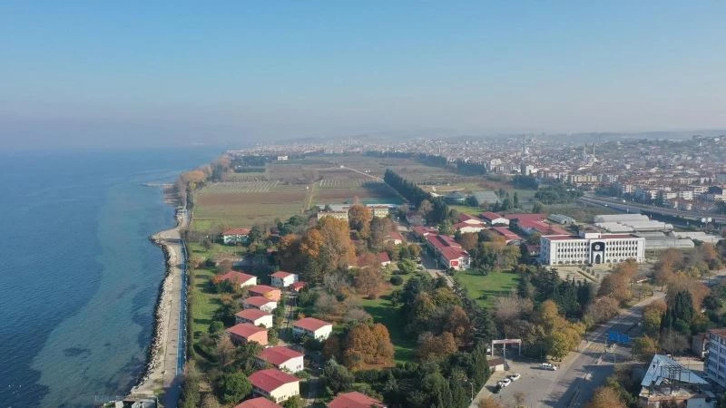Yalova Sahil Cami Projesi’nde yürütmeyi durdurma kararı iptal edildi
