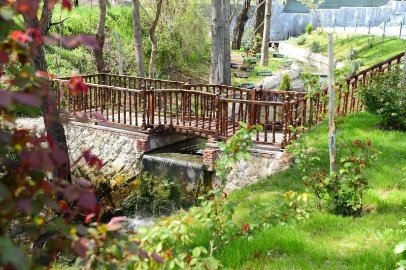 Baharın gelmesiyle renk cümbüşü oluştu
