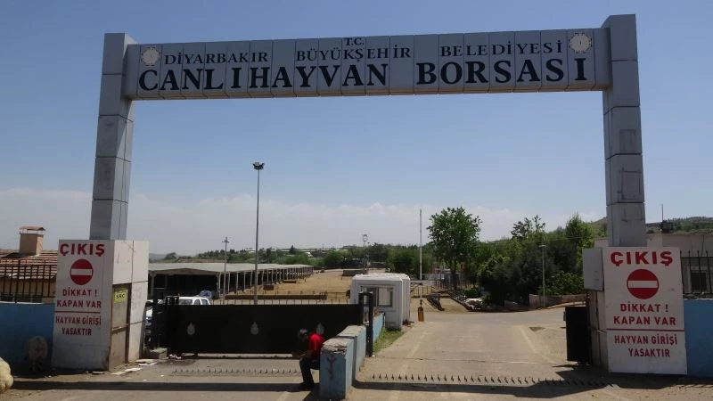 Diyarbakır’da ’ihbar ettin’ mevzusu kanlı bitti: 1 ölü, 5 yaralı
