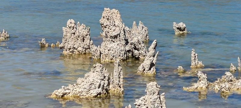 (Özel haber) Aslan siluetine benzeyen mikrobiyalit ilgi çekiyor
