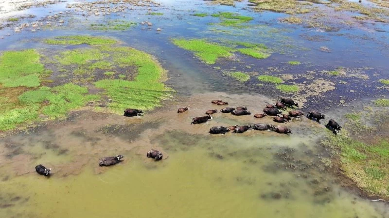 Yüksekova’da Afrika’yı andıran görüntüler
