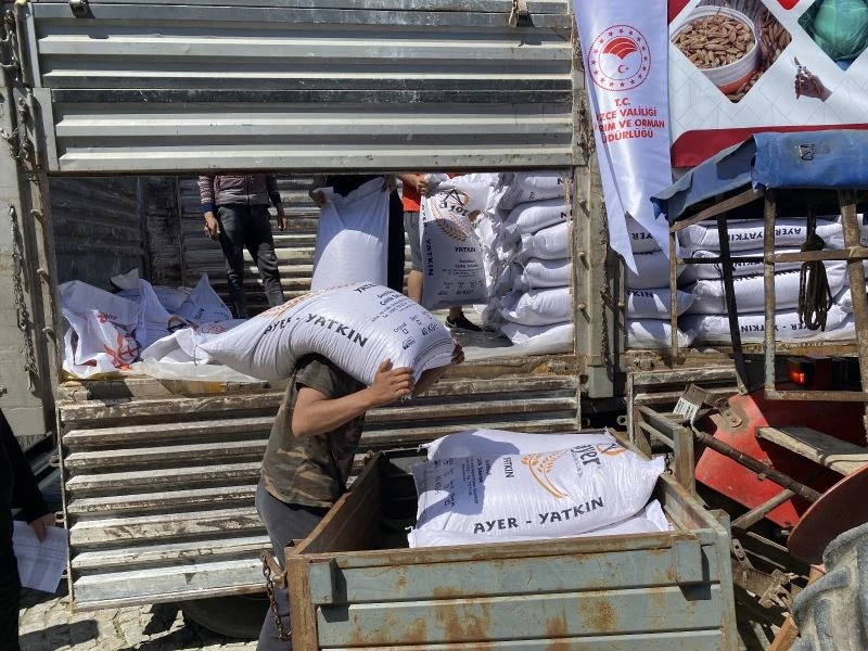 Osmanlı saray mutfağı pirincinin tohumları üreticilere dağıtıldı
