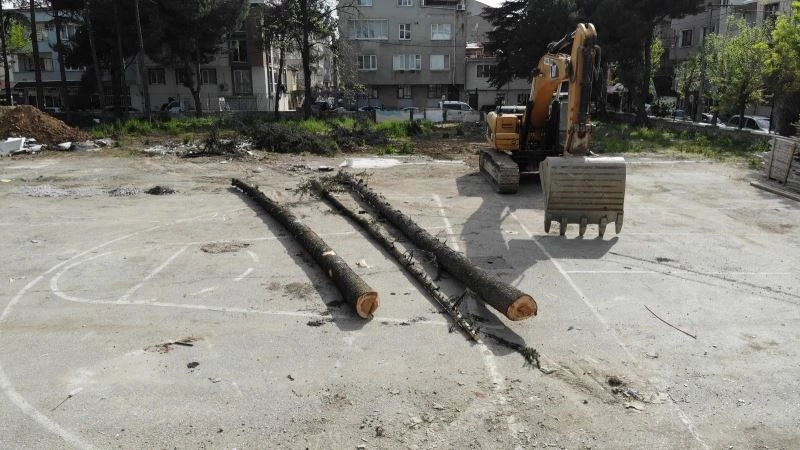 (Özel) Okul bahçesindeki ağaç katliamını mahalleli önledi
