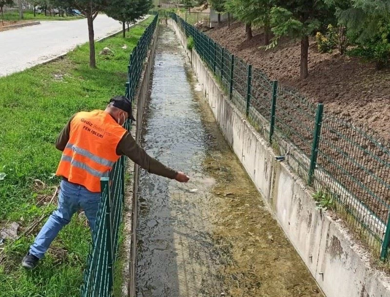 Gediz’de larva ilaçlama çalışmaları başlatıldı
