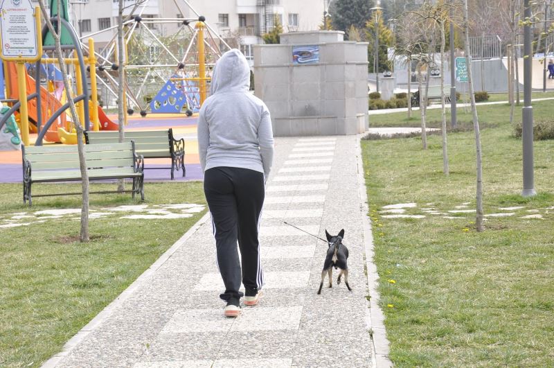 Hafta sonu parklar köpeklerini gezdiren vatandaşlara kaldı
