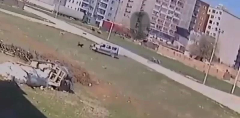 Sokak köpeklerinin çocuğa saldırma anı kameralara yansıdı
