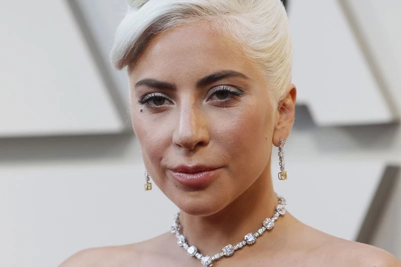 Lady Gaga’nın köpeklerinin kaçırılmasında 5 gözaltı
