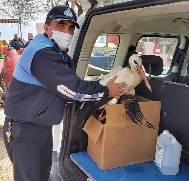 Bursa’da duyarlı çiftçi kanadı kırık leyleği yetkililere teslim etti
