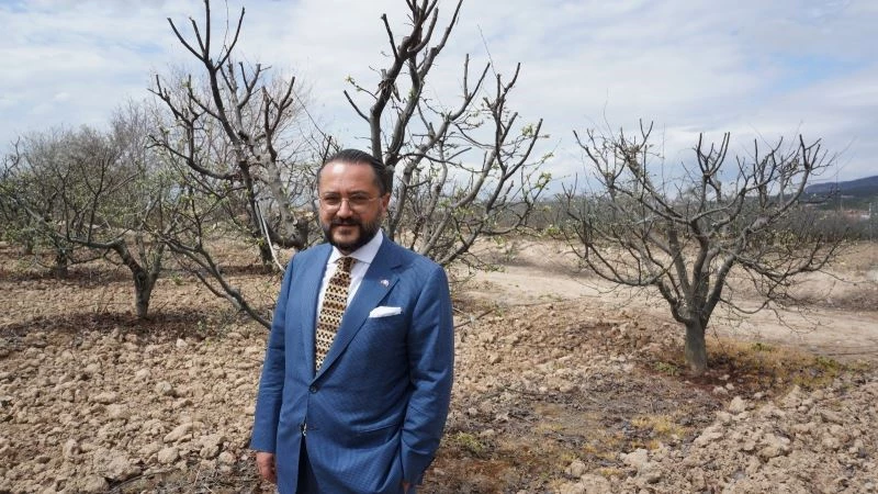 Nar ve ayva üreticisi tarlada eğitimli ara eleman istiyor
