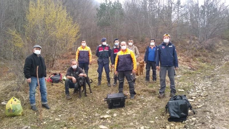 Tilki kovalarken uçurumda mahsur kalan köpek kurtarıldı
