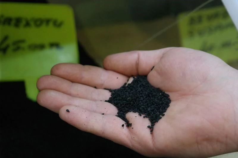 Çörekotunun kıymeti pandemide anlaşıldı
