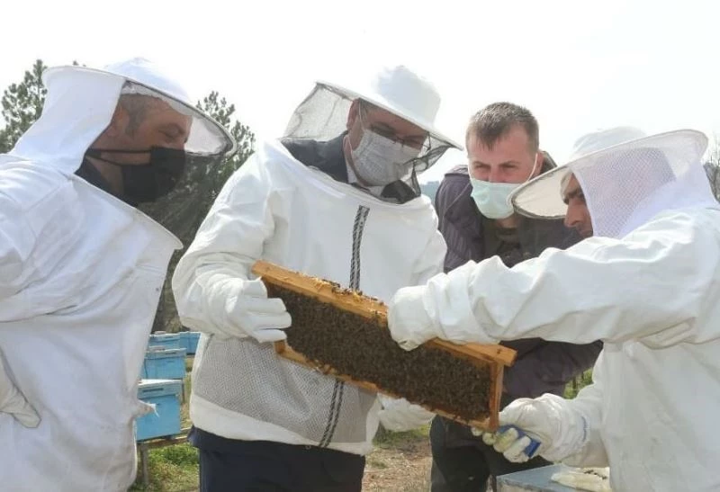 “Kırklareli Arı Islah Projesi” yerinde incelendi
