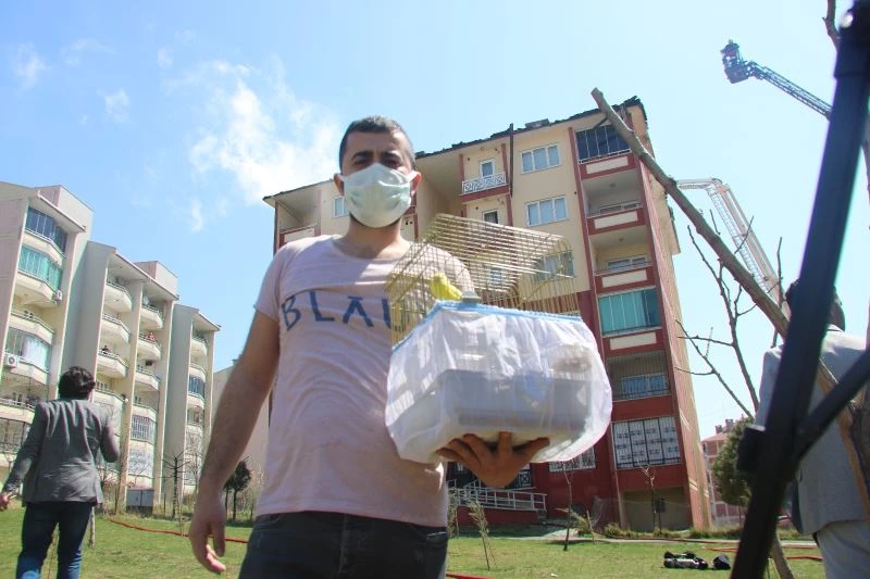 Alevlerin arasına dalıp evcil hayvanlarını kurtardılar
